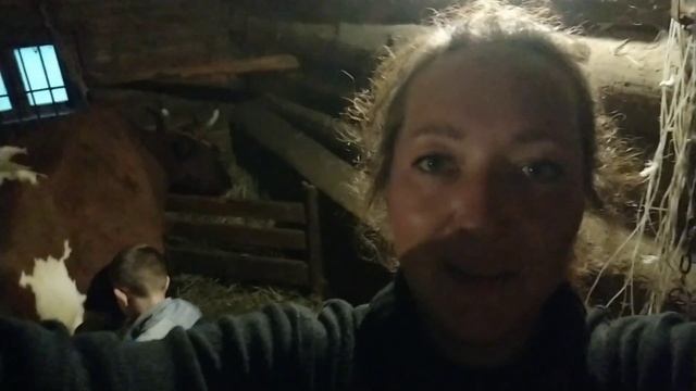 НАСТИЛ ПОЛОВ И ДОЙКА КОРОВЫ!