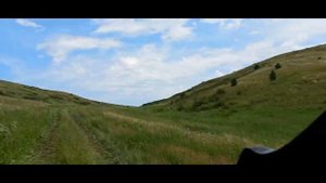 По ягоду и грибы поехали с отцом в +42 в тени и пожалели об этом.mp4