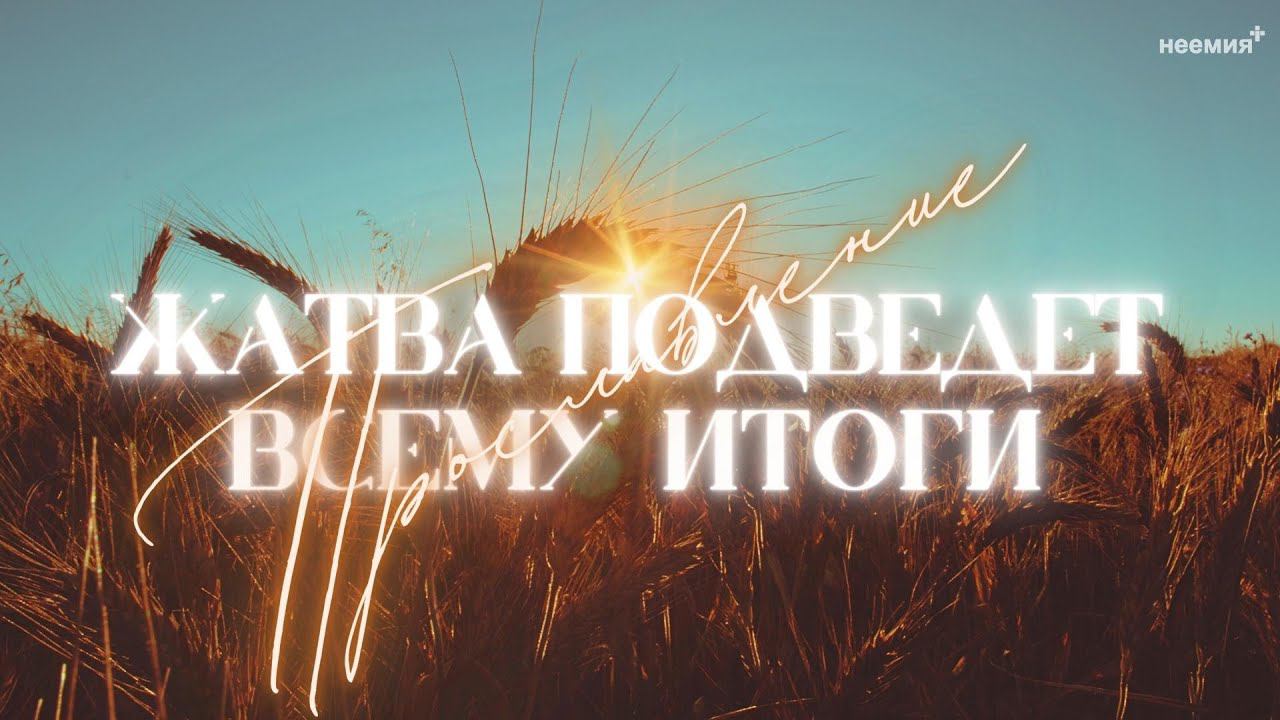 Жатва подведет всему итоги минус. Жатва подведет всему итоги минус. Жатва подведет всему итоги минус. Сильная смелая как лебедь белая я становлюсь на крыло песня. Жатва подведет всему итоги минус.