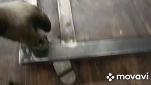 Складной сварочный стол, самый простой для гаража