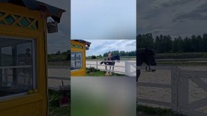 День 3. Катания на коне. Конный клуб "Зелёная слобода" г.Муром