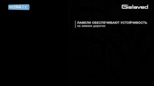 Резина GISLAVED Eurofrost 5 - [Rezina.CC] (Зима)