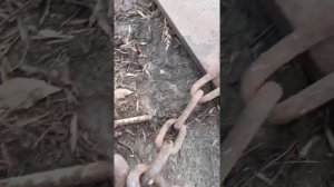 Навеска на ДТ 75 и Т 150