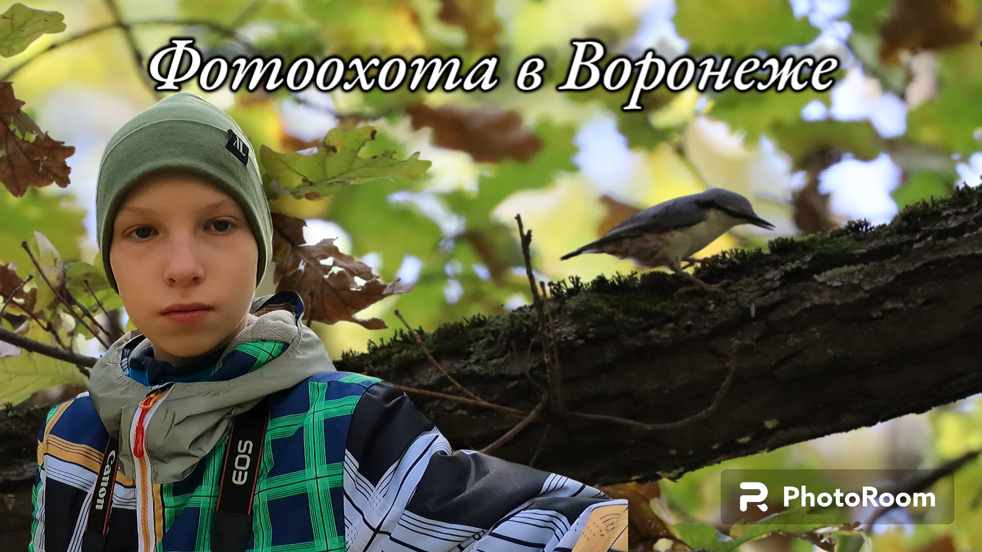Фотоохота в Воронеже. Осенние дни.......