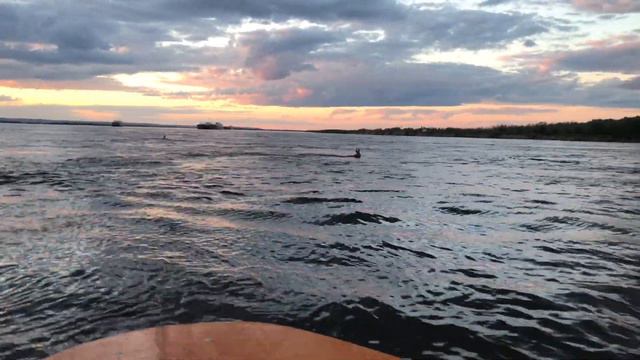 Косули переплывают реку Лена смотреть онлайн