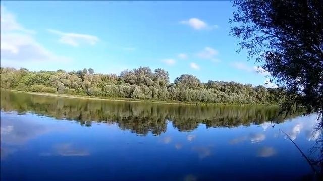 Рыбалка 29.06.2019 Дон,Шилово , два сомика и мышки смотреть онлайн