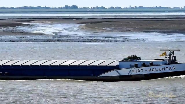 Talfahrt GMS FIAT VOLUNTAS PH5046 MMSI 244750316 Emden inland cargo ship Binnenschiff BJ 1954 смотреть онлайн