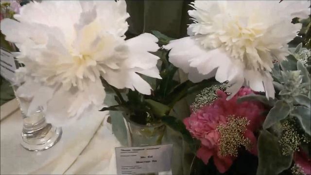 Выставка "Пионы Северной Столицы - 2017" ч. 3 смотреть онлайн