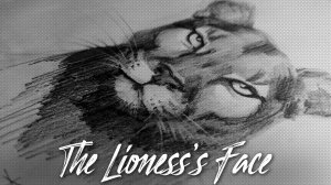 РИСУЮ карандашом ЛЬВИЦУ | The lioness's face