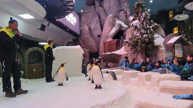Ski Dubai Tour | Snow ❄️ |Penguin? |SKI ? #4K #funtimes #skidubai