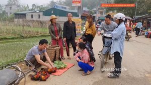 Sell wild chicken and sell vegetables. Products from my hands. Robert | Green forest life (ep273)