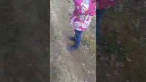 Какие бывают майские жуки