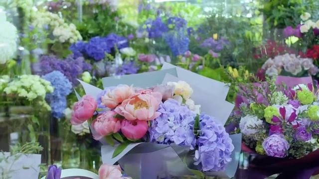 Отзывы САЛОН КРАСОТЫ смотреть онлайн