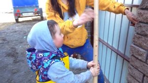 СИРЕНОГОЛОВЫЙ В РЕАЛЬНОЙ ЖИЗНИ на ферме. Камиль и квадроцикл
