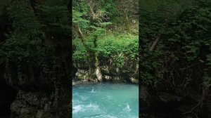 ФОРЕЛЕВОЕ ХОЗЯЙСТВО "ЧЕРНОРЕЧЕНСКОЕ"|| ОТХАРСКИЙ СКАЛЬНЫЙ МОНАСТЫРЬ. ГОРНАЯ РЕКА МЧИШТА || АБХАЗИЯ