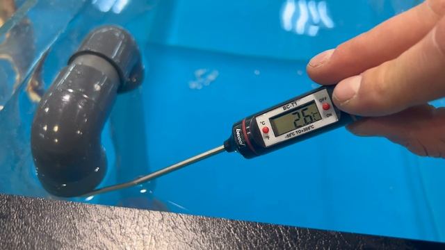 Аквариум для краба передержка узв для морепродуктов