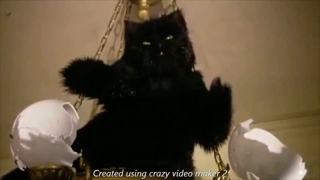 Окуджава черный кот. Окуджава черный кот. Соколова батик. Песня про кота черный кот. Окуджава песня про чёрного кота на гитаре два аккорда.