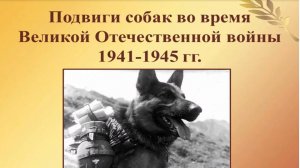 Подвиги собак во время Великой Отечественной войны 1941-1945 гг.