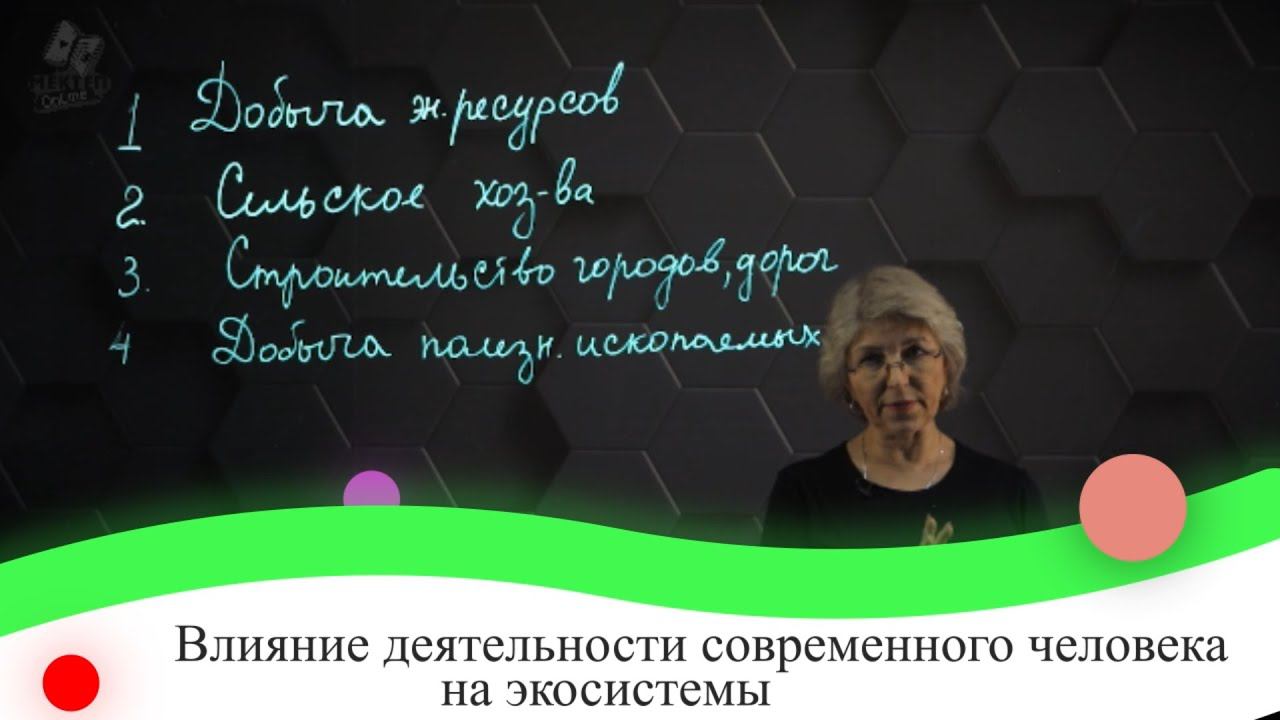 Влияние деятельности современного человека на экосистемы. 7 класс.