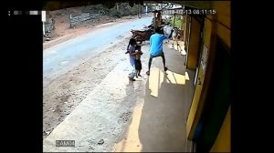 Бык напал на 8-летнюю девочку