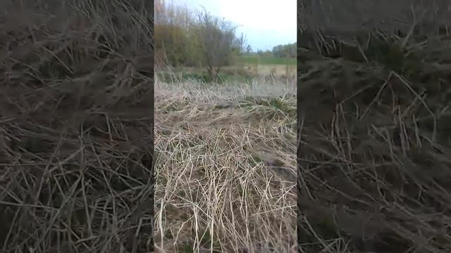 Посёлок им. Крупской | Спустя 30 лет смотреть онлайн