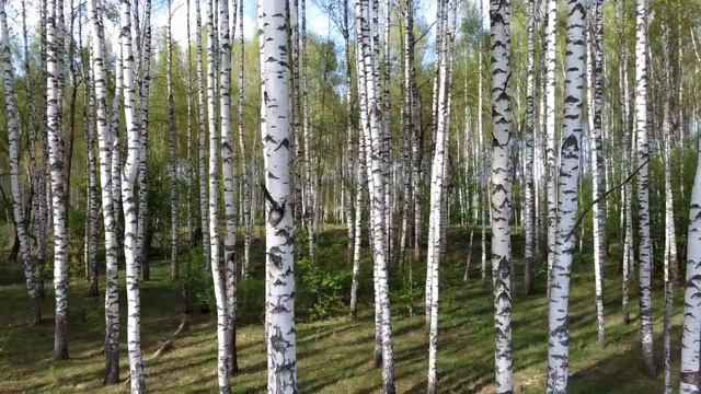 Сюжеты г Карачев. Hubsan h117s zino смотреть онлайн