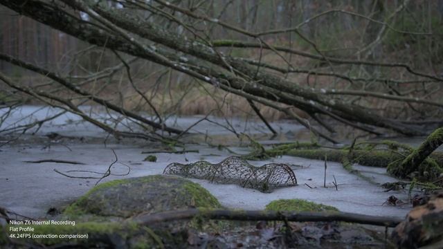 Comparison Internal and External Recording Nikon Z6 and Atomos Ninja V смотреть онлайн