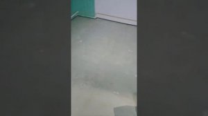 Укладка мармолиума с заводом на стену 15см.часть 1