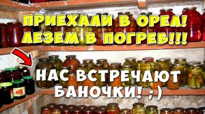 ЛЕЗЕМ В ПОГРЕБ! ПРИЕХАЛИ В ОРЕЛ!