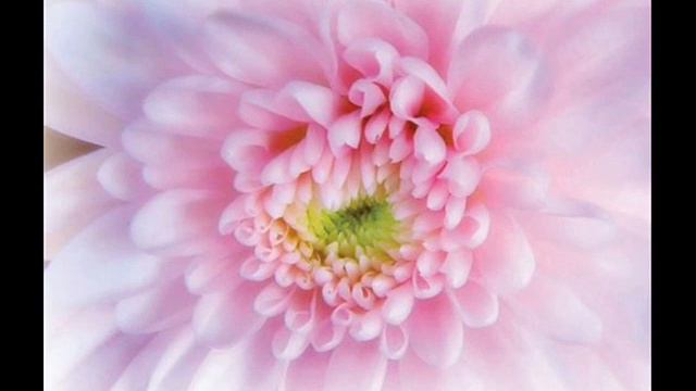 Поздравление!_0003.wmv смотреть онлайн