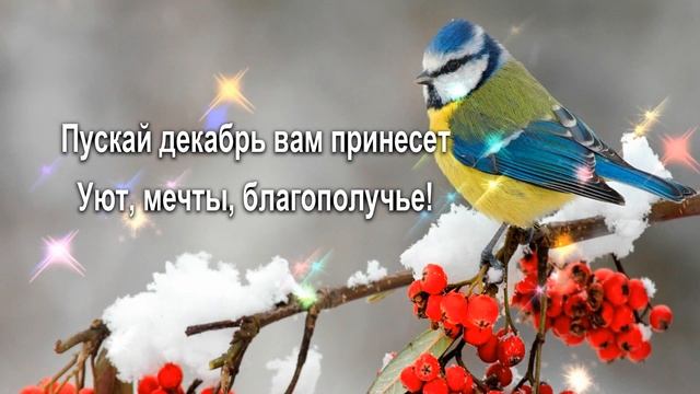 ОЧЕНЬ КРАСИВОЕ ПОЖЕЛАНИЕ С Первым Днём Зимы! 1 ДЕКАБРЯ Красивое Поздравление с Началом Зимы!