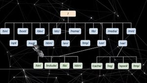 Структура файловой системы Linux за 5 минут