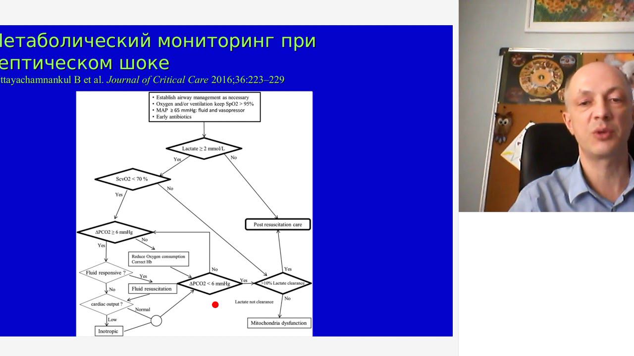 Вопросы нарушений гемодинамики при сепсисе