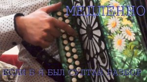 Если б я был султан / разбор на гармони #кавказкаяпленница#юрийникулин#гармонь#народныйшансон