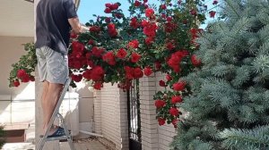 Меняем ИМИДЖ ДОМА!! Украшаем САД сувенирами из путешествия.