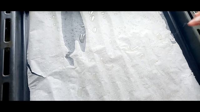 Смачнюща мойва в духовці/Вкусная мойва в духовке/Tasty capelin in the oven/ gromadnik w piekarniku смотреть онлайн