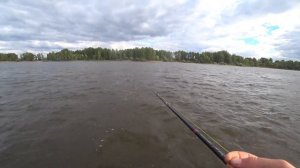 берсут , омары , соколка , рыбалка на судака