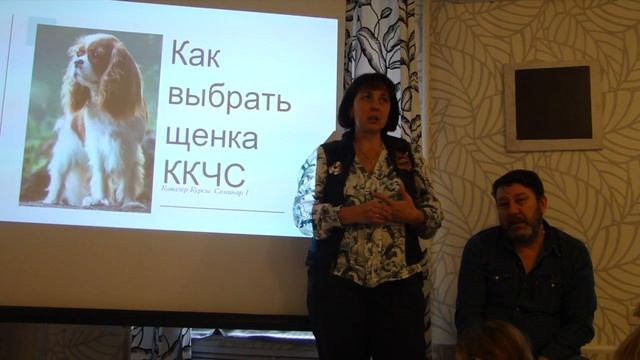 Первые курсы о подборе и выращивании щенка породы Кавалер Кинг Чарльз Спаниель смотреть онлайн