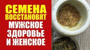 Как Восстановить Мужское Здоровье И Женское Семенами