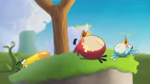 Angry Birds Presents  Summer Pignic