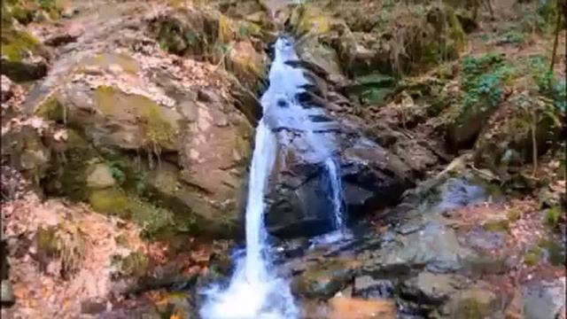 Ты так поправилась после родов, запустила себя, мой сын тебя бросит, - обещает мне свекровь. Истори смотреть онлайн