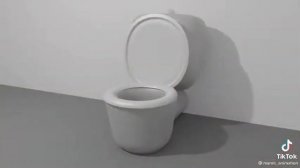 Как-то раз я сувал пальцы в унитаз...