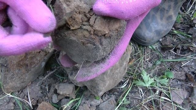 ДУМАЛА СЕРДЦЕ ВЫСКОЧИТ, ДОСТАВАЯ ИЗ ЗЕМЛИ КЛАД. Находки в лесу с металлоискателем. Обнаружила тайни