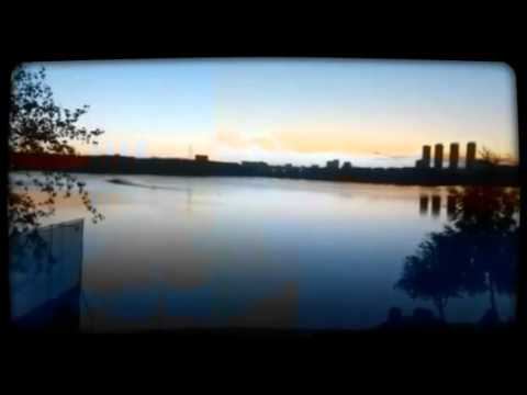 Love is Music fest смотреть онлайн