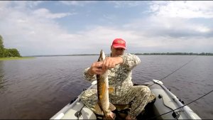 Лето. Спиннинг. Прорва. Самарская область.