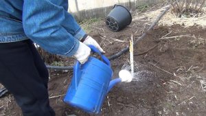 ГРУШИ ИЗ ФИКС ПРАЙСА