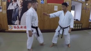 Перемещения в каратэ  Отягощения, тайминг, дыхание, ката   Олег Цой mp4