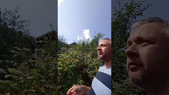 Как, когда и почему мы начали устанавливать уплотнитель Шлегель Schlegel? #секретыоконщика