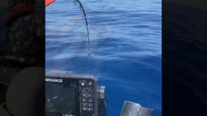 Tonno Rosso a Drifting , Stefano Gabrielli ,hobie pro angler 14 360 ,kayak Fishing , tuna ,