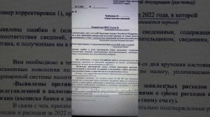 Разбор требования о представлении пояснений по УСН для ИП